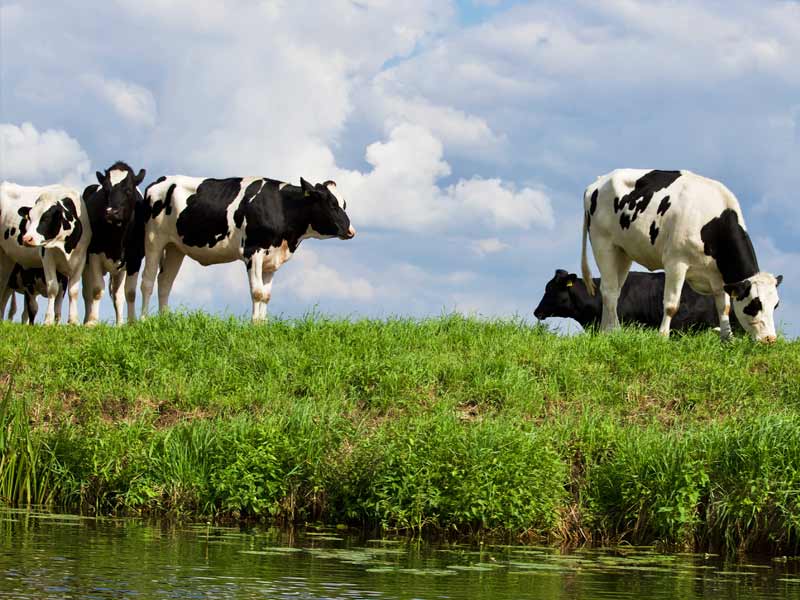 oplossing voor zwerfstromen 